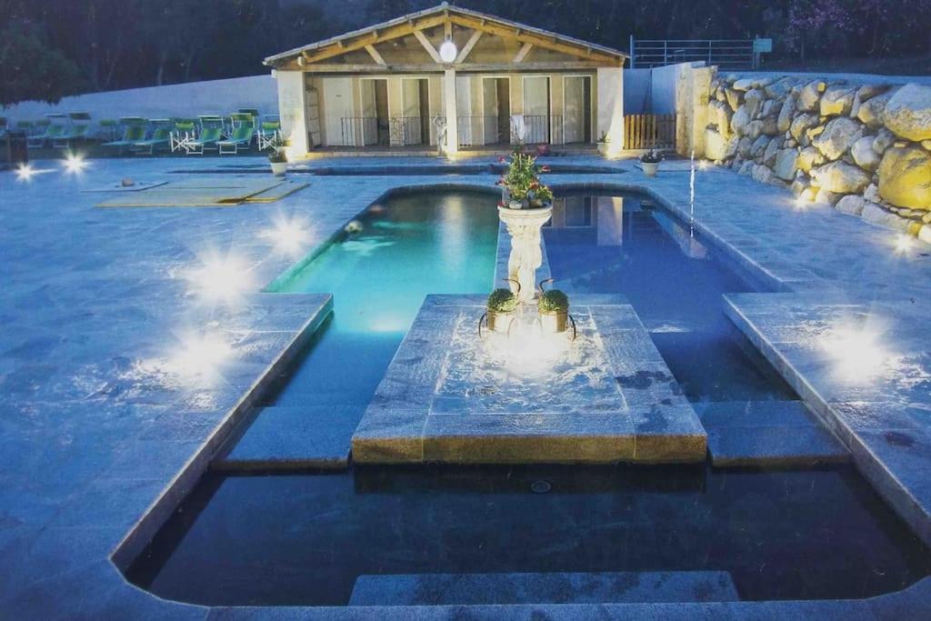 Casa Arena Authentique Maison De Village Avec Piscine Au Coeur De L'Alta Rocca - Zoza Exterior photo